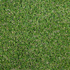 Belvoir lawn from above