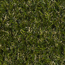 Berlin lawn from above