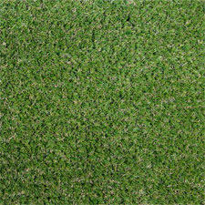 Beverstone lawn from above