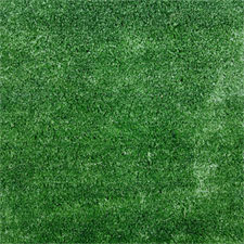 Bodiam lawn from above