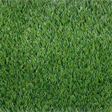 Bolingbroke lawn from above