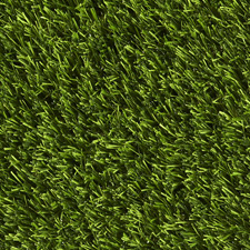 Mayfair lawn from above