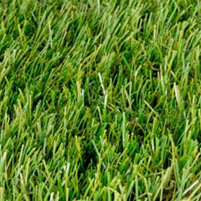 Palace lawn from above