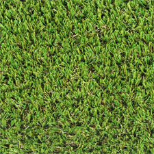 Pendennis lawn from above