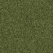 Putting Green lawn from above