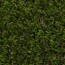 Stockholm lawn from above